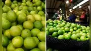 Comerciantes en Lambayeque venden saco de limón a S/600, tras alza de precio