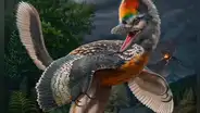 Descubren en China el fósil de un extraño dinosaurio-pájaro que revela pistas sobre el origen de las aves