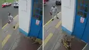 Callao: sujeto arroja piedra a perro que descansaba en caseta de serenazgo y le provoca un desmayo