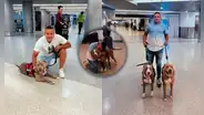 Migrante venezolano se rencuentra con sus mascotas tras 2 años separados