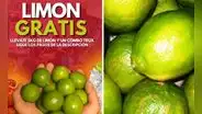 Restaurante sortea 5 kilos de limón entre personas que compartan su página