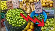 Precio del limón: ¿por qué está bajando ligeramente el costo del cítrico?