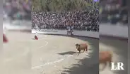 Joven muere tras recibir una cornada de toro durante una corrida en Huancavelica