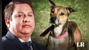 Ministro de Salud: “Quien maltrata a una mascota es capaz de maltratar a un ser humano”