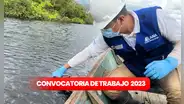 ¿Eres titulado? Autoridad Nacional del Agua ofrece EMPLEOS con sueldos de hasta S/7.000: cómo postular