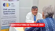 ¿Egresaste de universidad o instituto técnico? Postula a la ONP con sueldos de hasta S/9.000