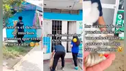 Veterinarios rescatan a perrito atropellado y vecinos de SJL hacen colecta para tratamiento: “Aplausos”