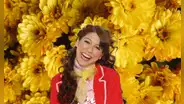 Revisa por qué se regalan flores amarillas en septiembre