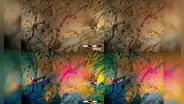 Antiguos humanos dibujaron pinturas rupestres en 3D desde hace 65.000 años