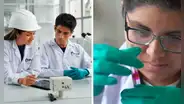 ¿Por qué los jóvenes no escogen Ingeniería Química a pesar de ser una CARRERA demandada en Perú?