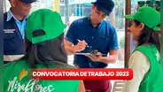 ¿Buscas trabajo? Municipalidad de Miraflores ofrece EMPLEOS con sueldos de hasta S/8.000 en Lima
