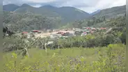 Colonos cultivan hoja de coca en territorio asháninka