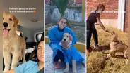 Joven se va al Serums junto con su perrito y causan sensación en redes: “La doctora y el dogtor”