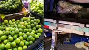 ¡Asaltan camión de limones en Piura!: delincuentes se llevaron sacos valorizados en S/250.000