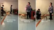 Profesora de la UNMSM llega con su perrito a dictar clase: “Firulais también quiere su título”