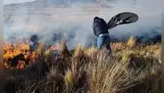 Puno: un muerto y 700 hectáreas calcinadas es saldo de incendio