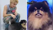 Taehyung de BTS y Yeontan sobre el escenario en Corea: emocionaron al ARMY en redes