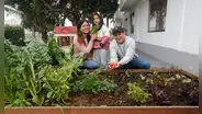 El club de los huertos caseros