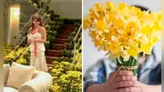 Revisa lo último que se muestra sobre cuándo regalar flores amarillas