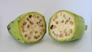 Así era el plátano en su forma original hace 7.000 años: tenía semillas y casi no era comestible