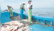 Produce avala legalizar más de 1.000 barcos en proceso caduco