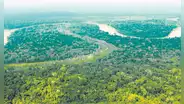 Perú canjea deuda externa con EE.UU. a cambio de conservación de bosques