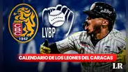 Calendario de los Leones del Caracas, LVBP 2023-2024: juegos, fechas y canales para seguir a los melenudos