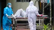 Virus Nipah: ¿qué es y cómo se contagia la enfermedad que reapareció en la India?