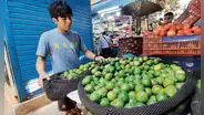 Limón bajó a S/8,94 el kilo a nivel mayorista