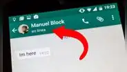 WhatsApp: ¿es posible saber si un amigo está en línea aunque haya desactivado esta opción?