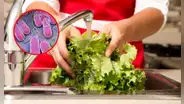 ¿Cuál es el riesgo de NO lavar la LECHUGA y cómo hacerlo correctamente?