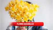 FLORES AMARILLAS 2024: ¿por qué las regalan y qué relación tiene con FLORICIENTA?