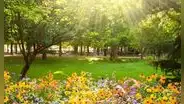 ¿Qué día inicia la primavera en el Perú, desde cuándo y por qué se celebra?