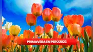 ¿Qué día inicia la PRIMAVERA en Perú? Fecha oficial, celebraciones y más AQUÍ