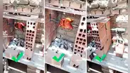 Hombre usa un taladro para asar su rico POLLO A LA BRASA y usuarios reaccionan: “Lo busca la NASA”