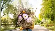 ¿Por qué se celebra el Día de la Primavera y el de la Juventud cada 23 de setiembre?