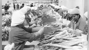 Economía social de mercado: entre lo formal y real, por Kurt Burneo