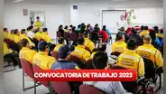 Municipalidad de San Miguel ofrece 101 empleos con pagos de hasta S/6.000: requisitos y cómo postular AQUÍ