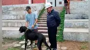 Surco: familia se reencuentra con Figo, su perrito perdido durante 4 años