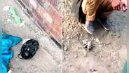SJL: intervienen a delincuente con granada de guerra en pleno estado de emergencia