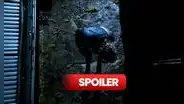 'Daryl Dixon', capítulo 3 explicado: ¿qué pasó en el episodio 3 de la serie de 'The Walking Dead'?