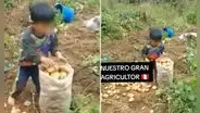 Niño enternece las redes al indicar que su sueño es ser un gran agricultor en Cajamarca
