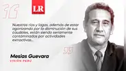 Revolución azul, por Mesias Guevara
