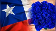¿Por qué se regalan flores azules en Chile y cuándo debes entregarlas a tu pareja?
