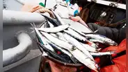 Segunda temporada de pesca de anchoveta aún es incierta