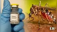 OMS recomienda uso de la primera vacuna contra el dengue ante alza de casos en Latinoamérica