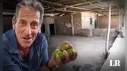 Tío Lenguado muestra mercado de Piura tras incremento del precio del limón: "Parece un cementerio"