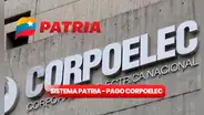 Sistema Patria: ¿cómo pagar Corpoelec con el dinero de los bonos? Guía fácil