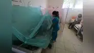 Buscan prevenir muertes por dengue en el norte del país