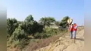 Reparación de dique del río Piura sufre retrasos